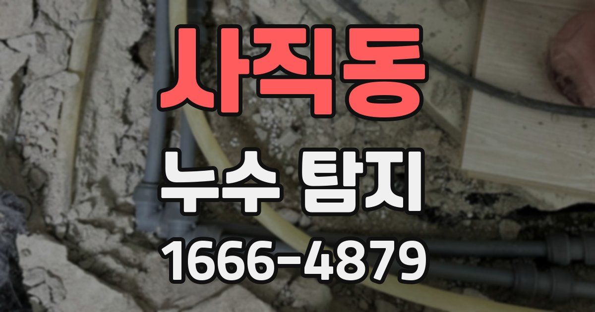 사직동 누수 탐지