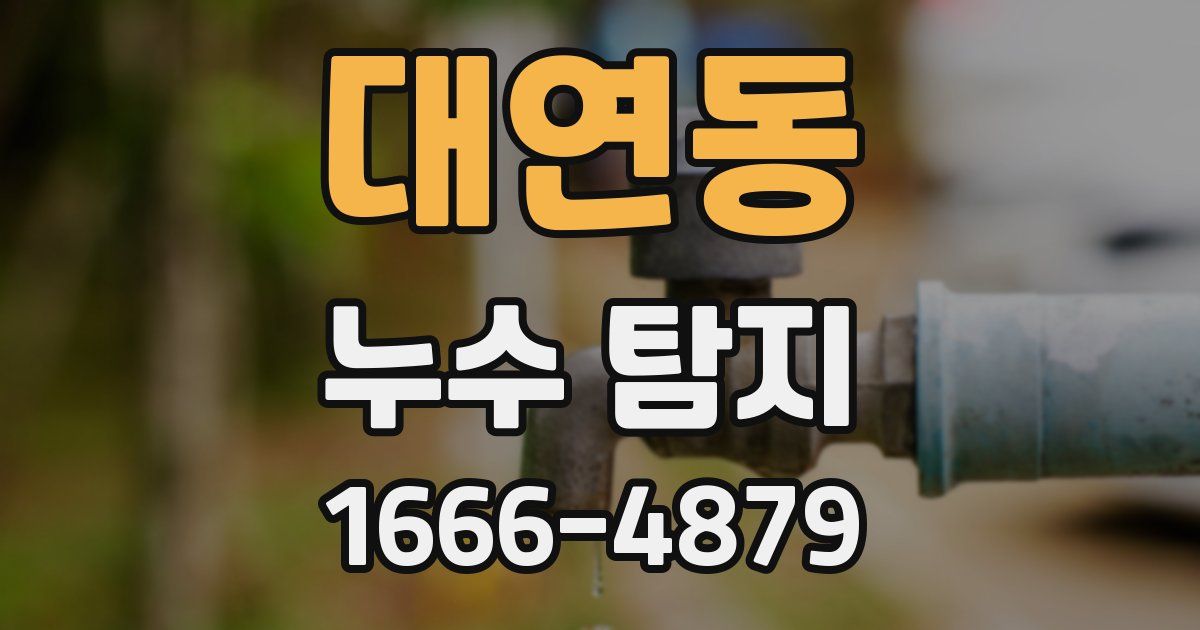 대연동 누수 탐지