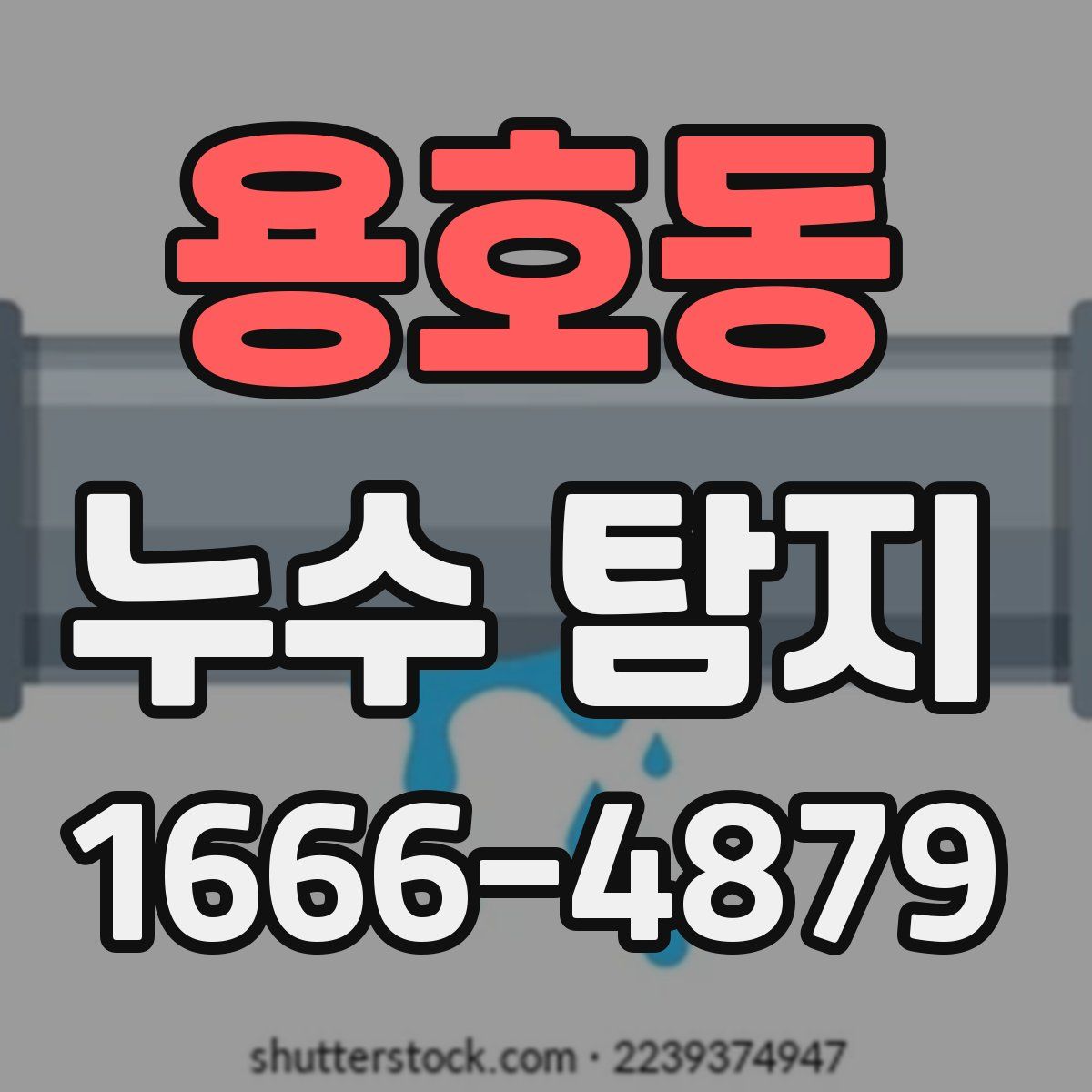 용호동 누수 탐지