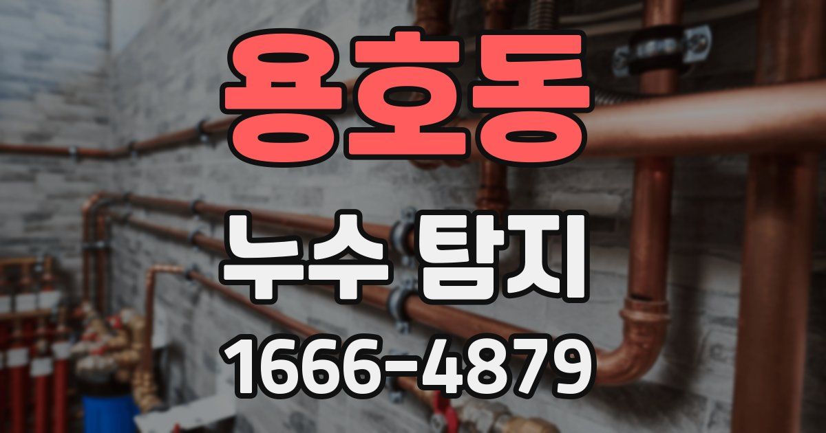 용호동 누수 탐지