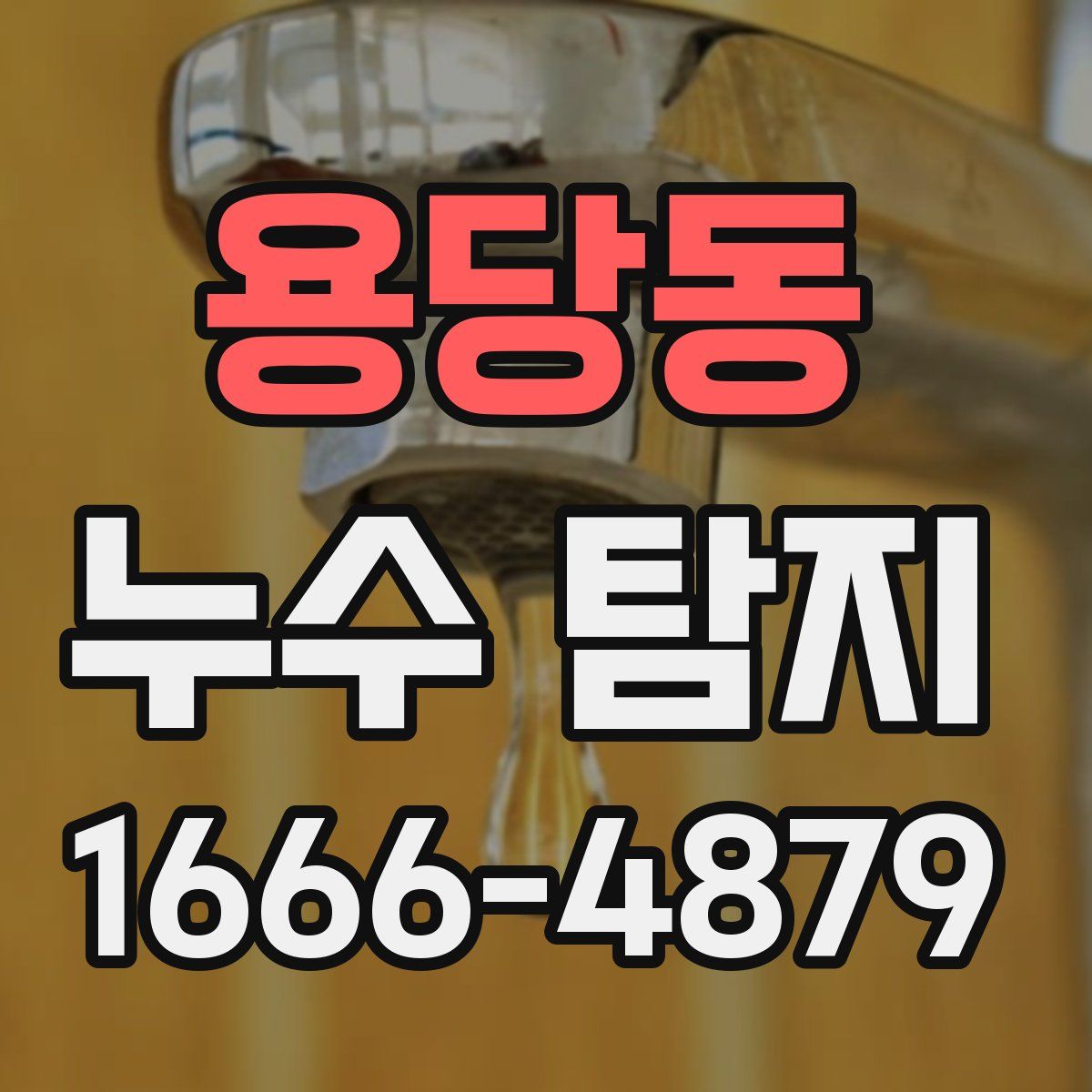 용당동 누수 탐지