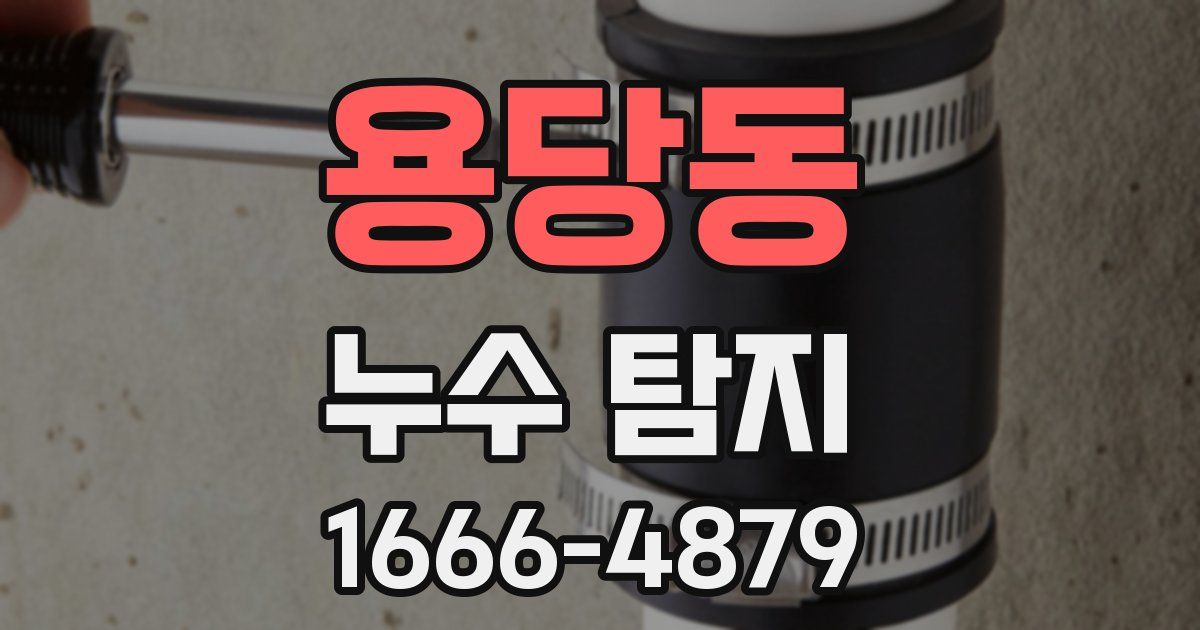 용당동 누수 탐지