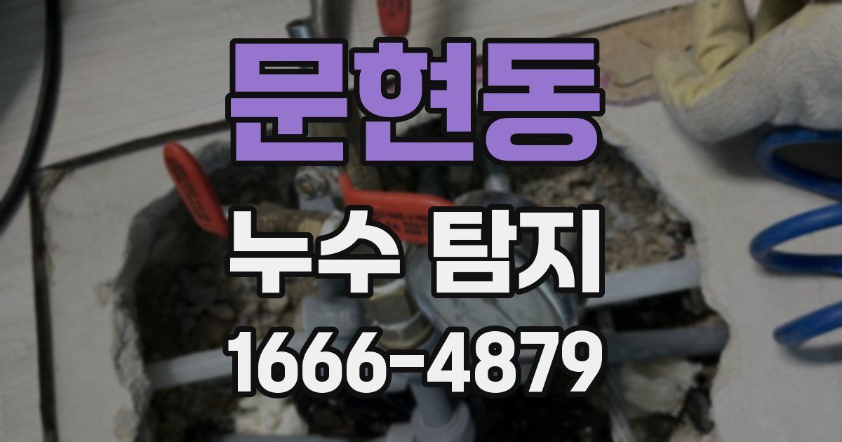 문현동 누수 탐지