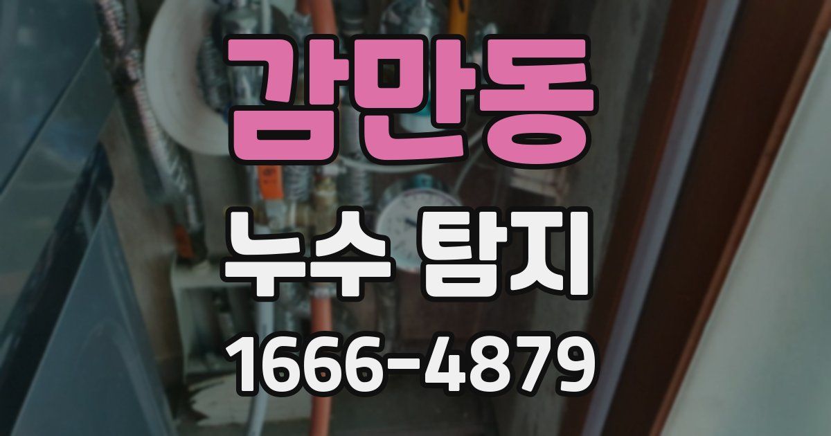 감만동 누수 탐지