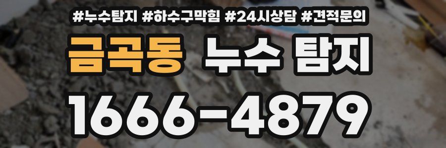 금곡동 누수 탐지