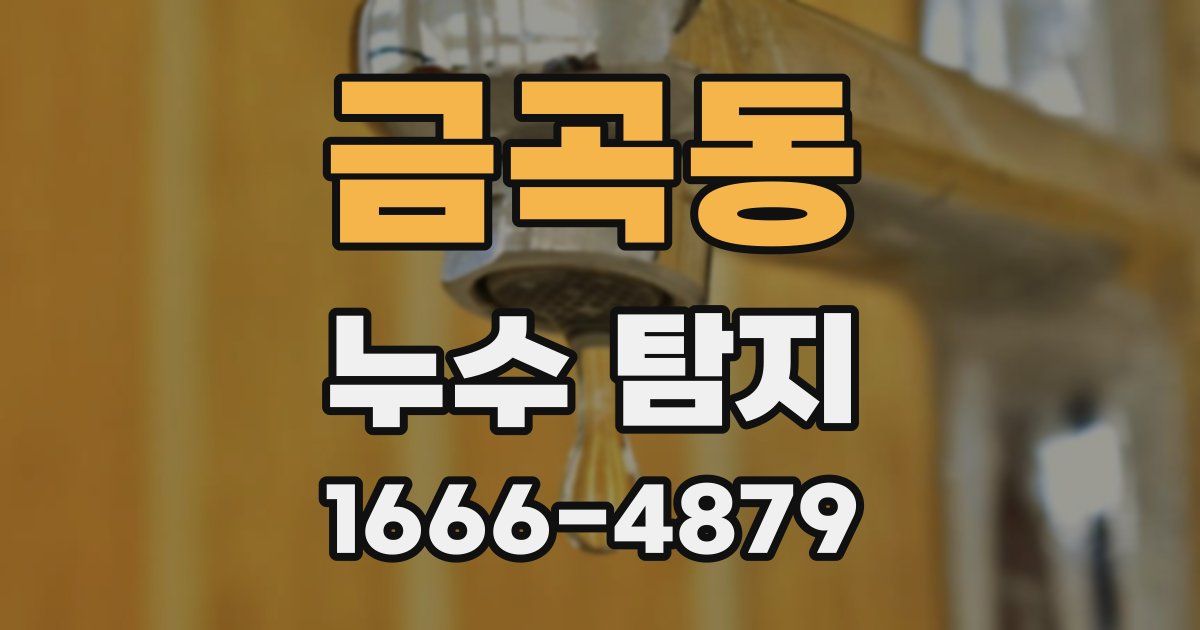 금곡동 누수 탐지