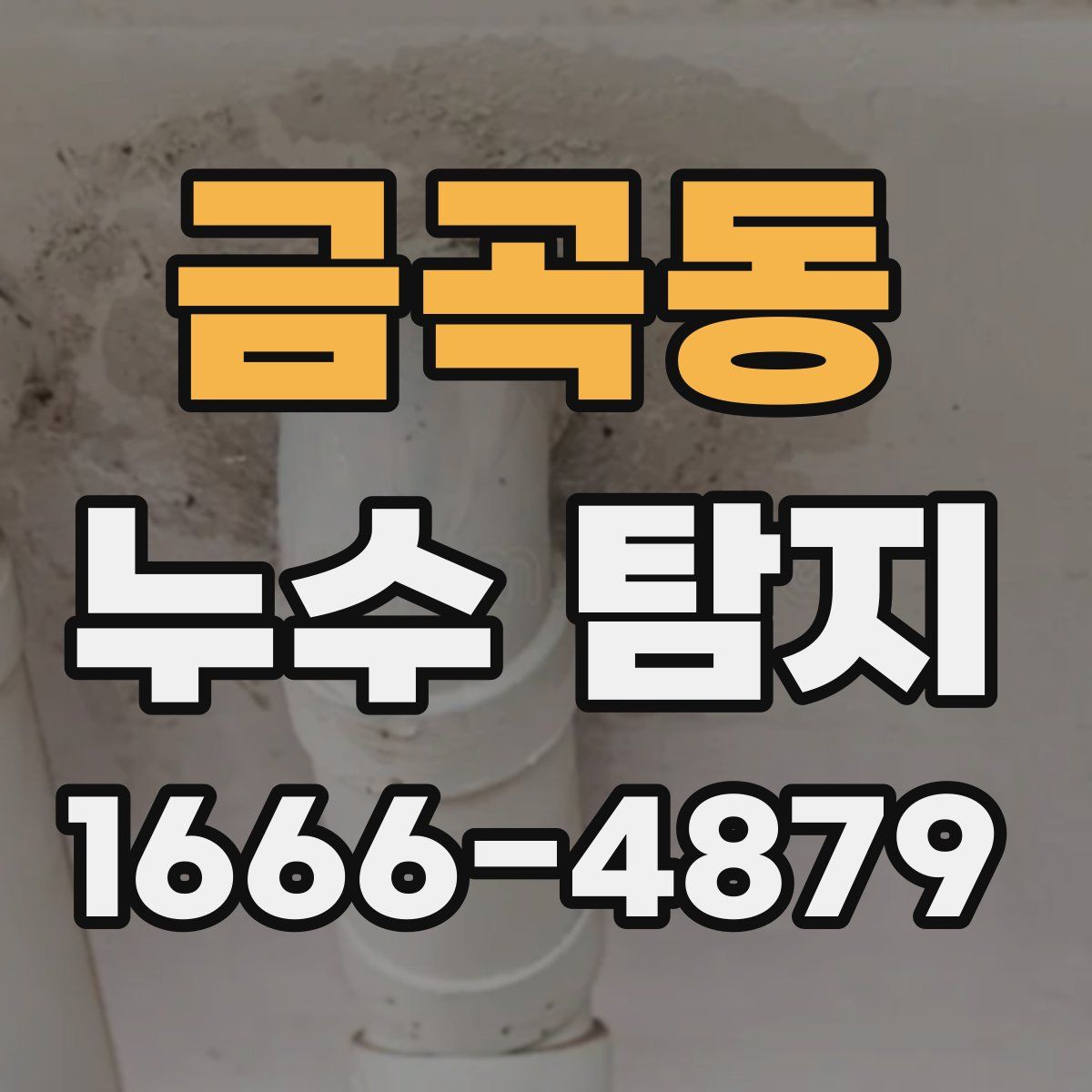 금곡동 누수 탐지