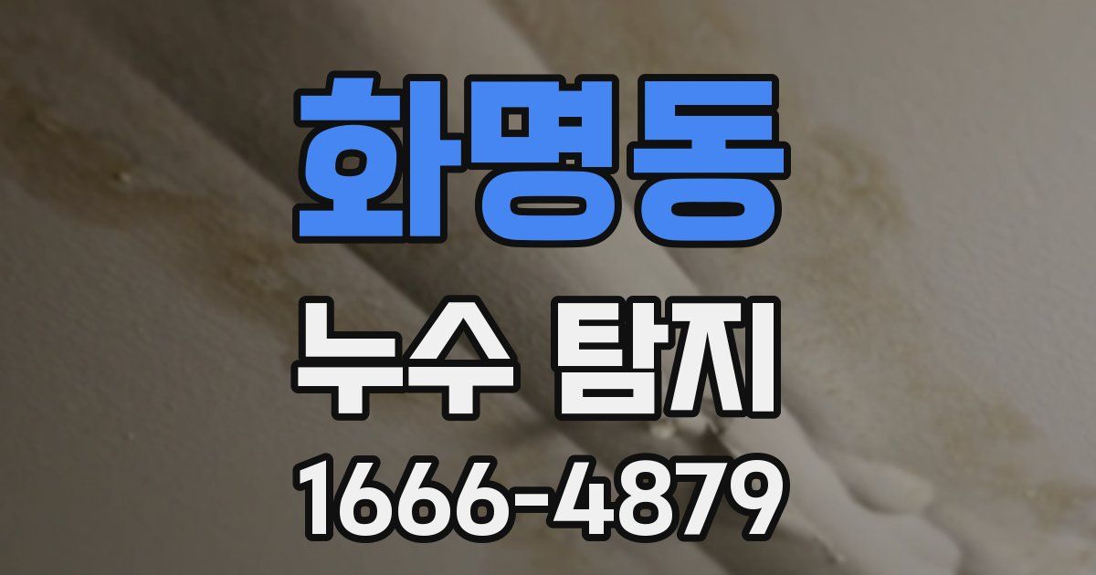 화명동 누수 탐지