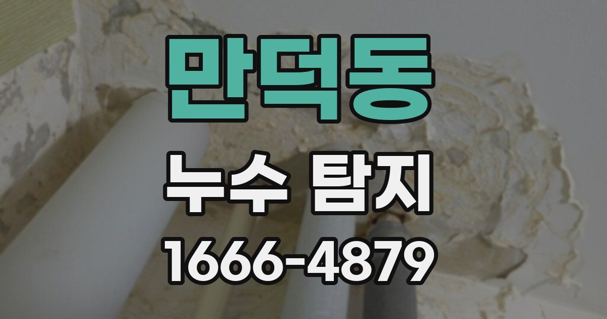 만덕동 누수 탐지