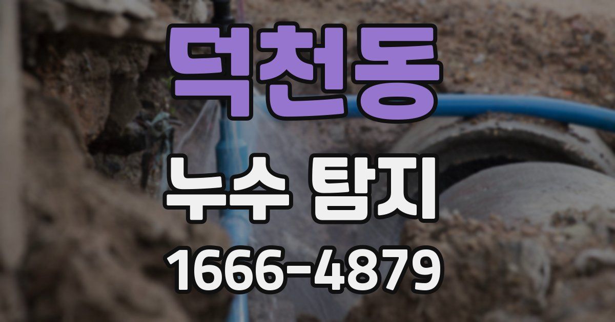 덕천동 누수 탐지