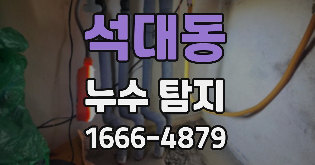 석대동 누수 탐지