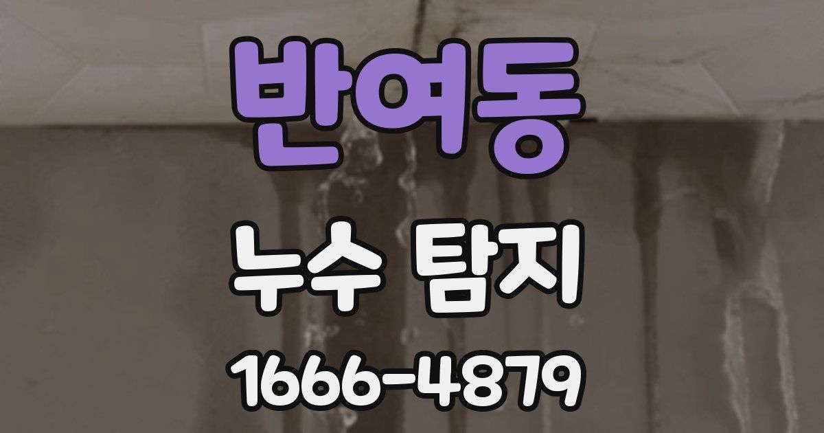 반여동 누수 탐지