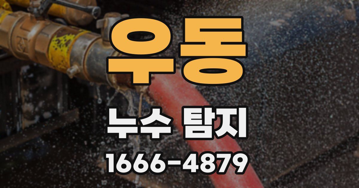 우동 누수 탐지