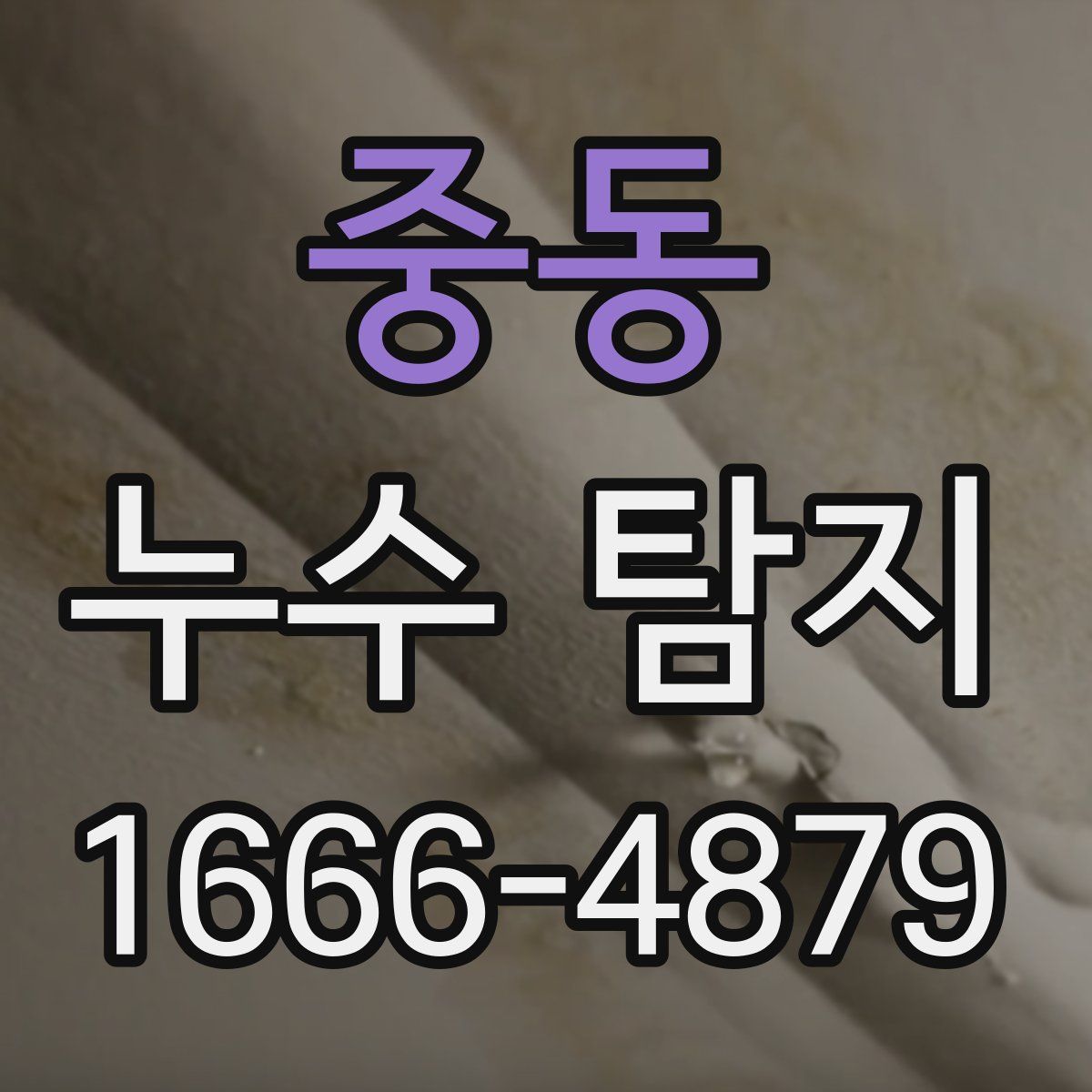 중동 누수 탐지