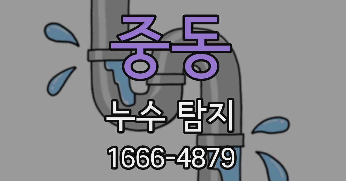 중동 누수 탐지