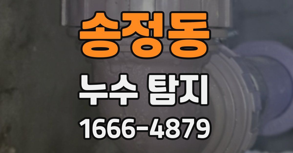 송정동 누수 탐지