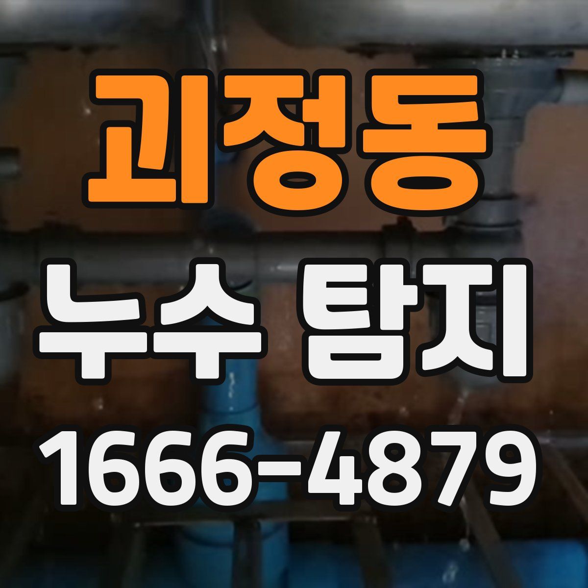 괴정동 누수 탐지
