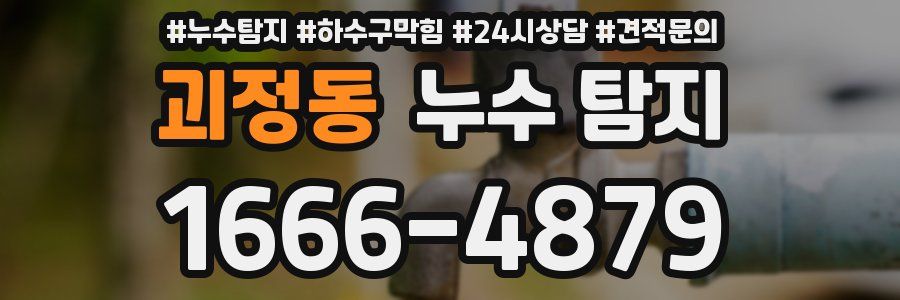 괴정동 누수 탐지