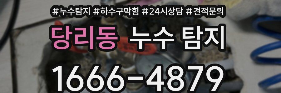 당리동 누수 탐지