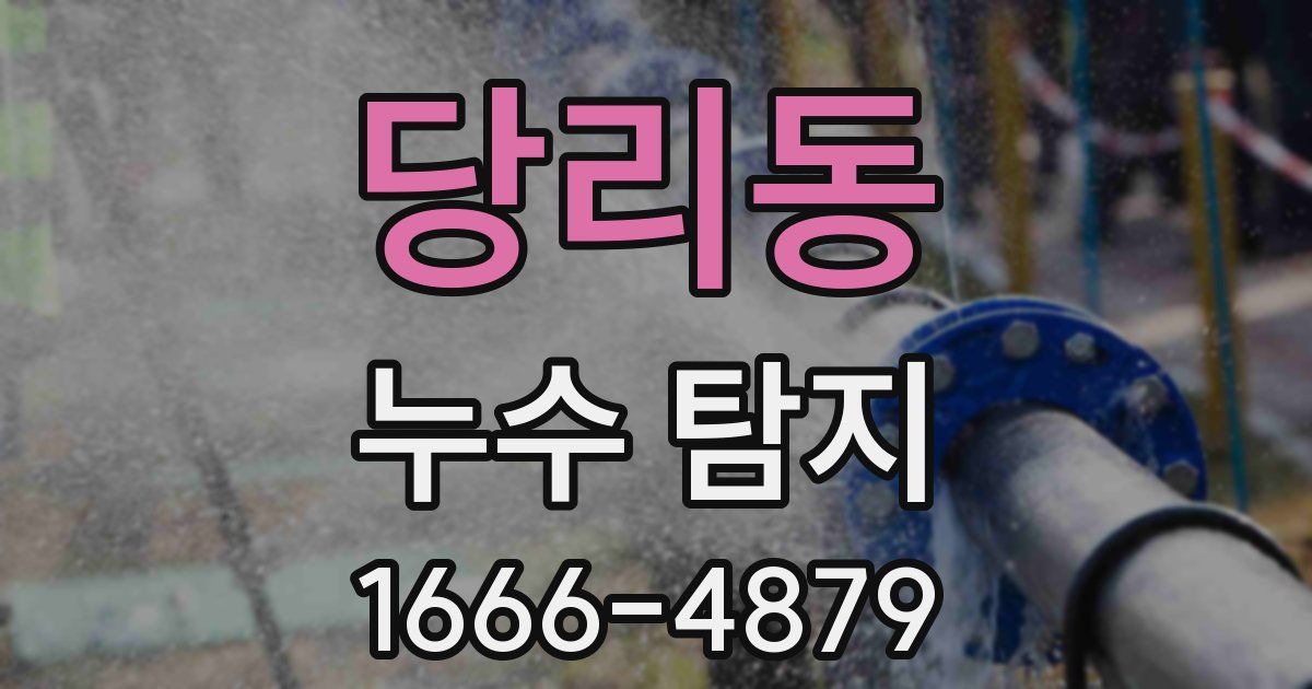 당리동 누수 탐지