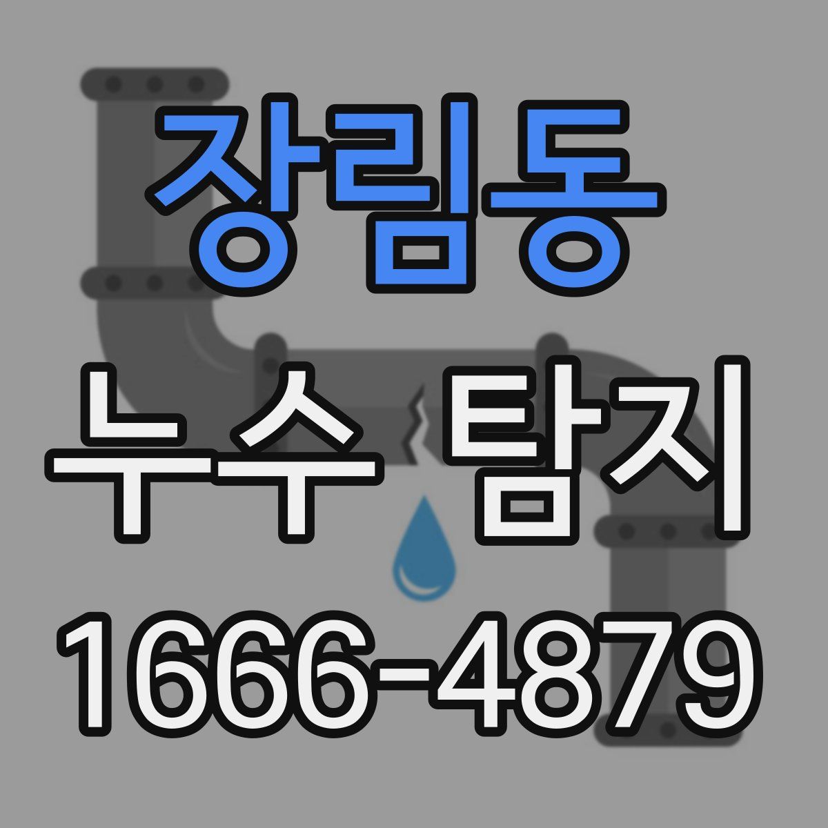 장림동 누수 탐지
