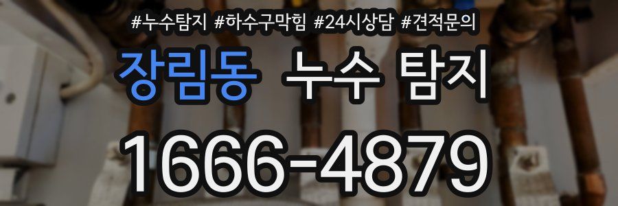 장림동 누수 탐지