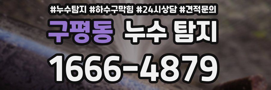 구평동 누수 탐지