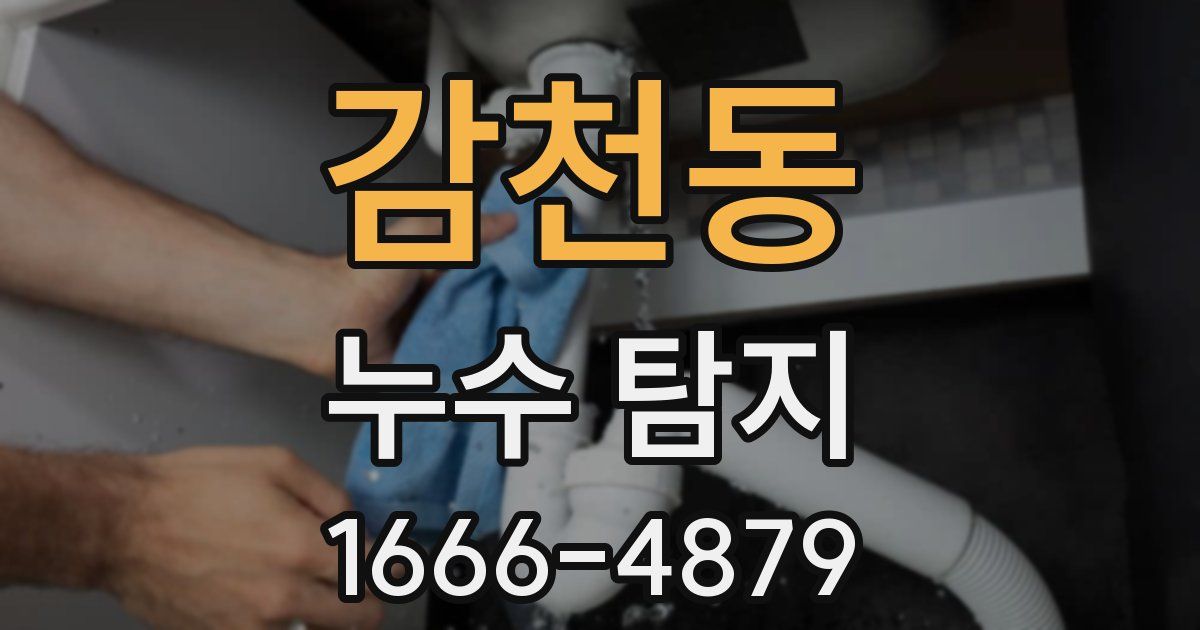 감천동 누수 탐지