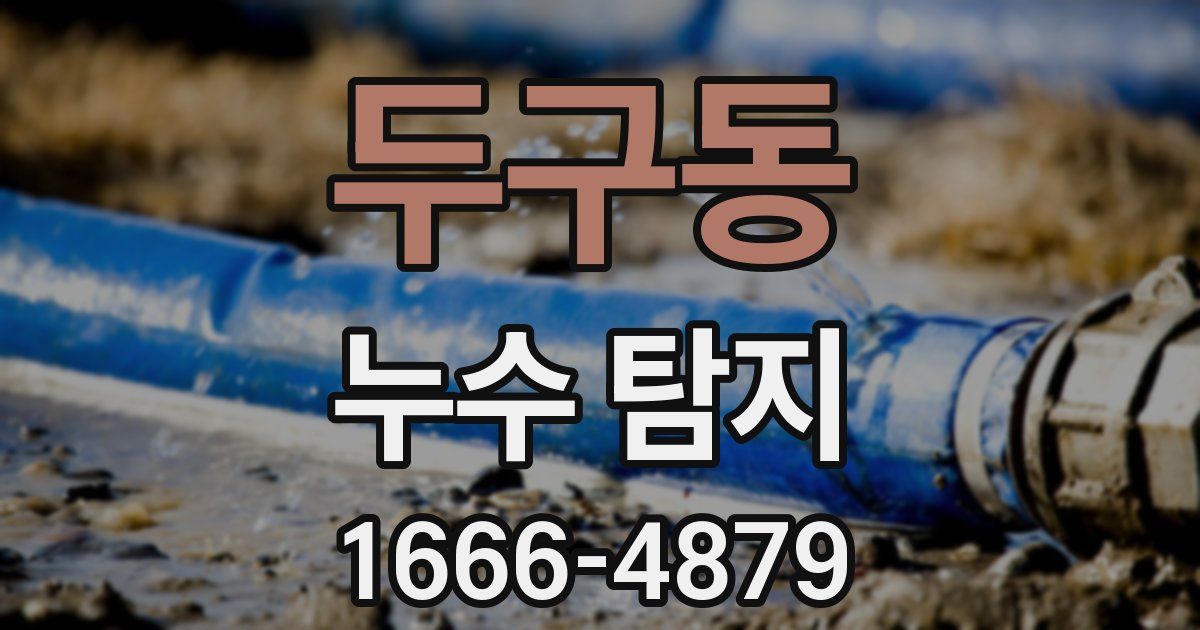 두구동 누수 탐지