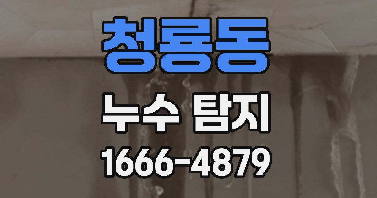 청룡동 누수 탐지