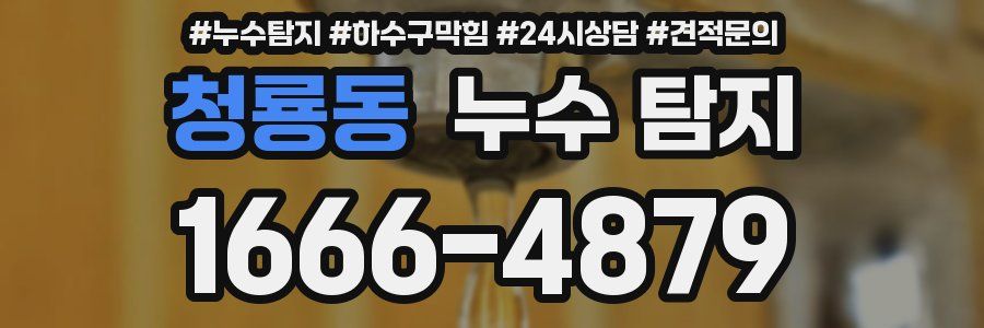 청룡동 누수 탐지