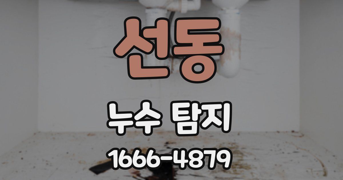 선동 누수 탐지