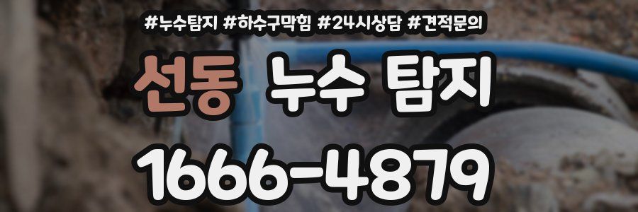 선동 누수 탐지