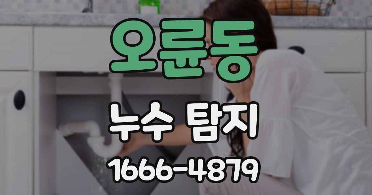 오륜동 누수 탐지