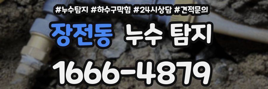 장전동 누수 탐지