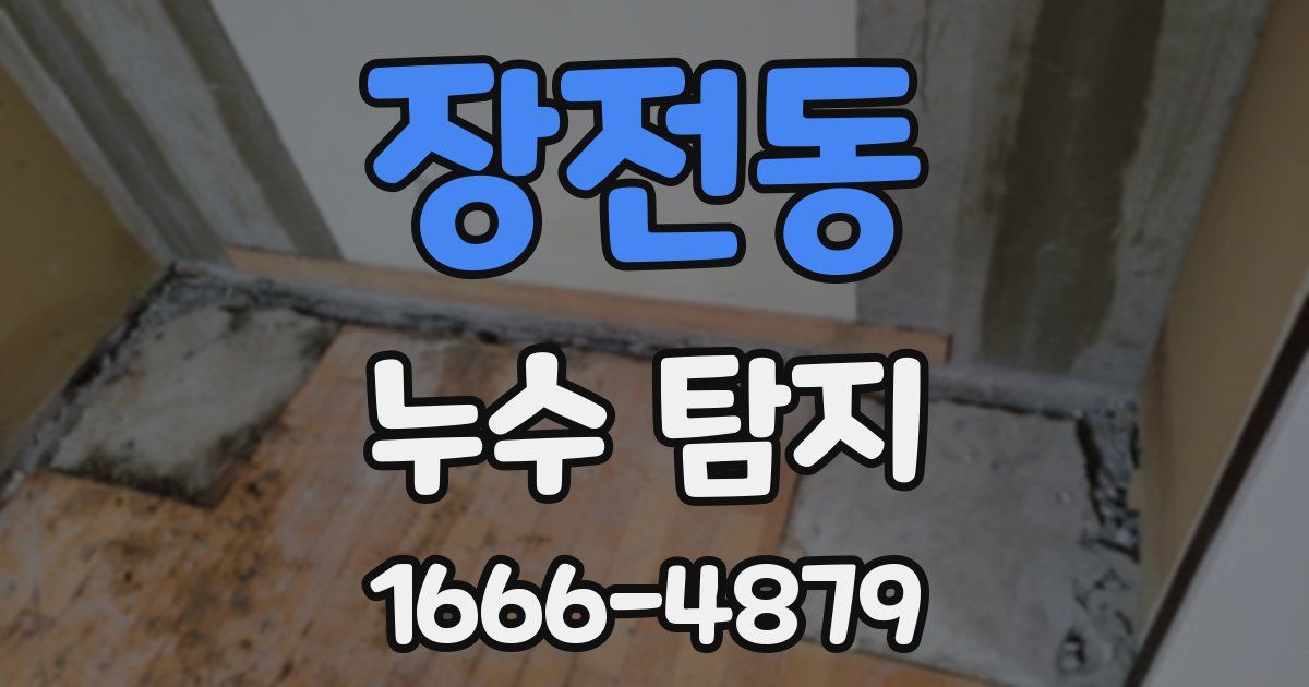 장전동 누수 탐지