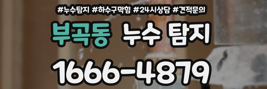 부곡동 누수 탐지