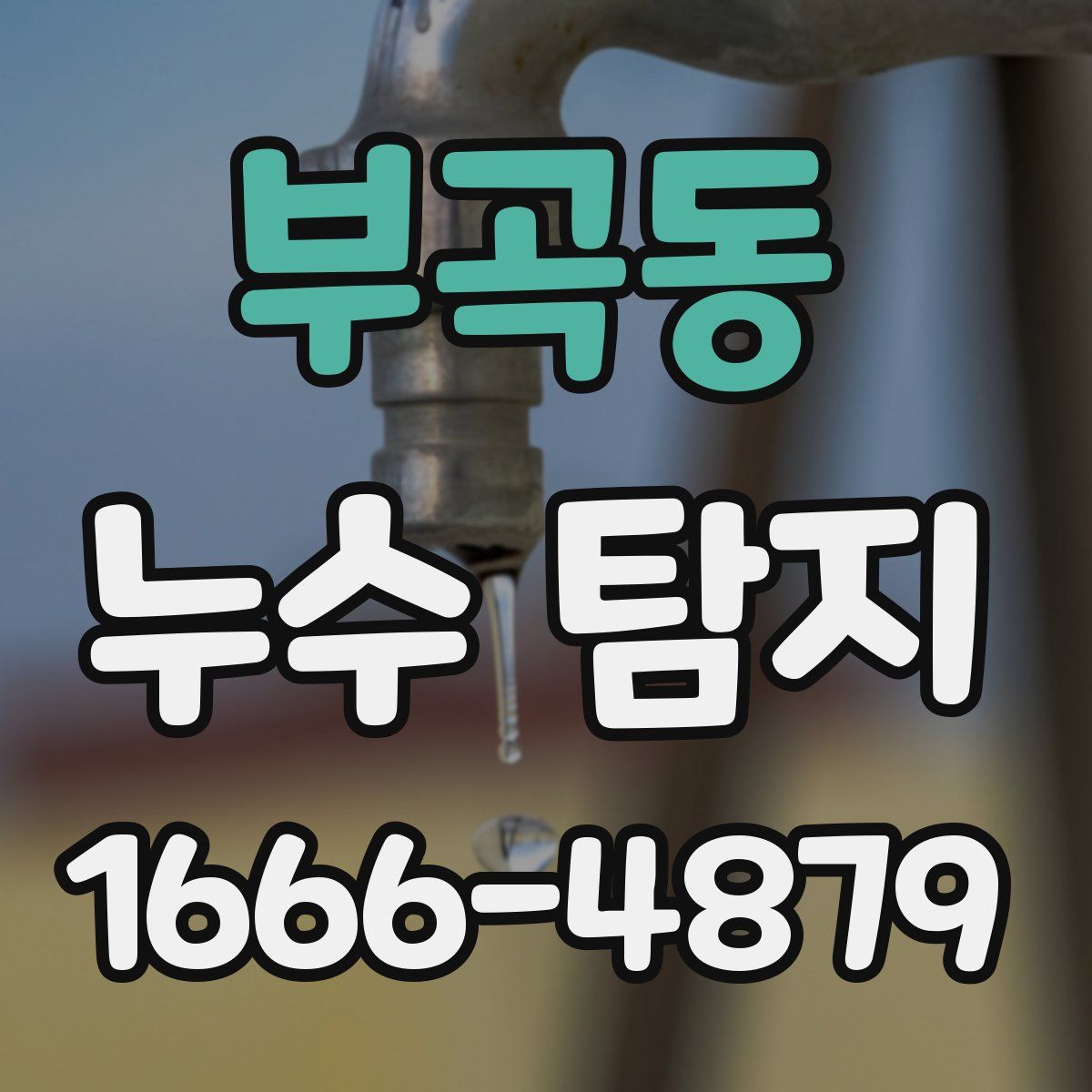 부곡동 누수 탐지