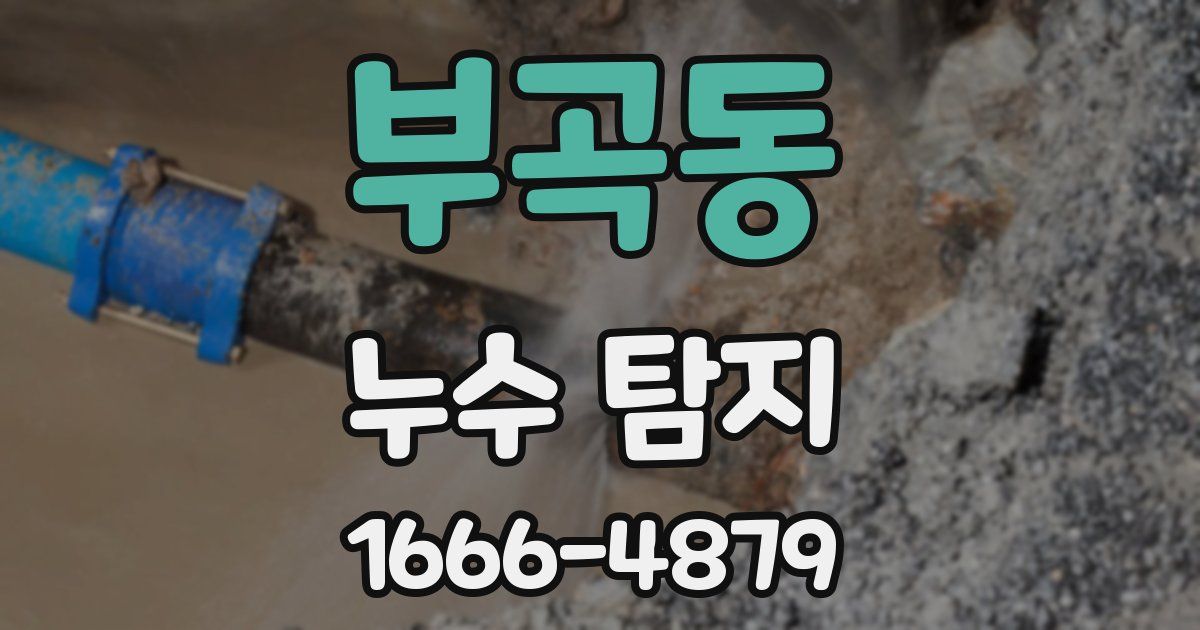 부곡동 누수 탐지