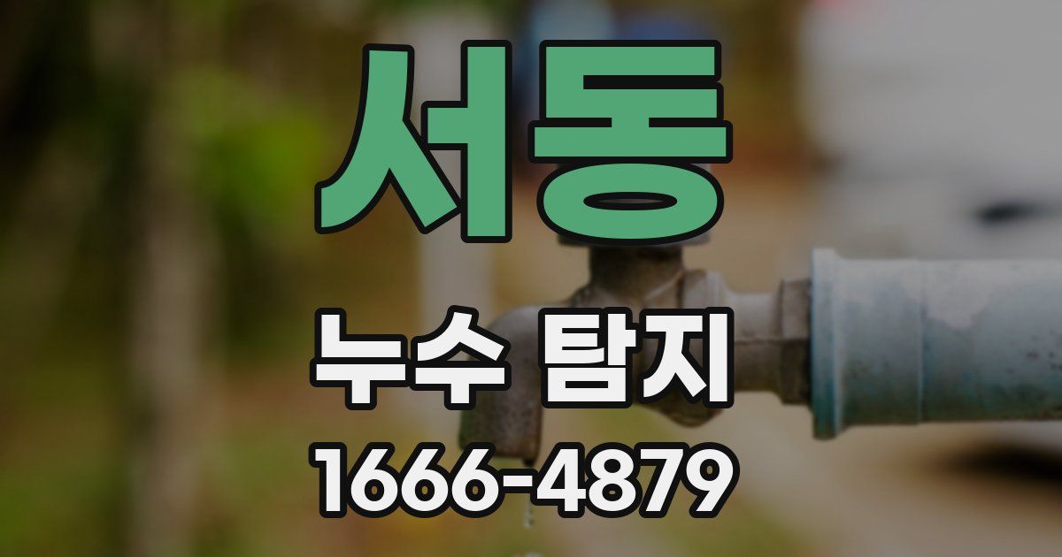 서동 누수 탐지
