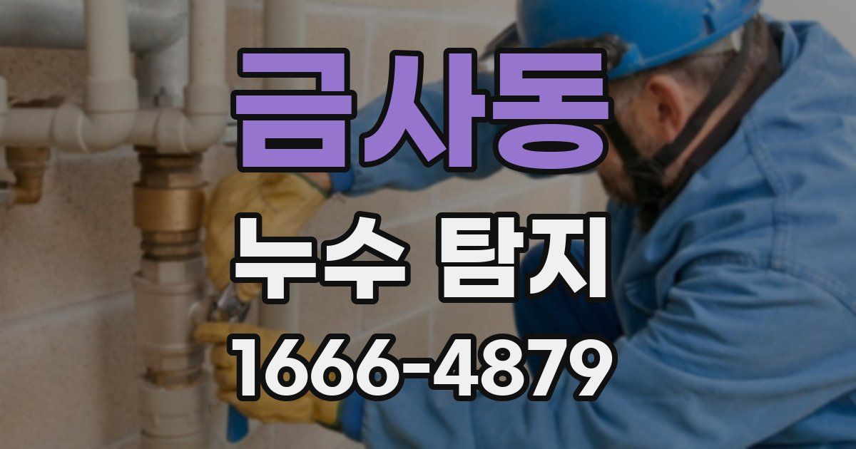 금사동 누수 탐지