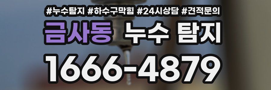 금사동 누수 탐지