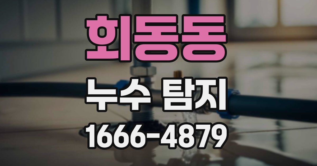 회동동 누수 탐지