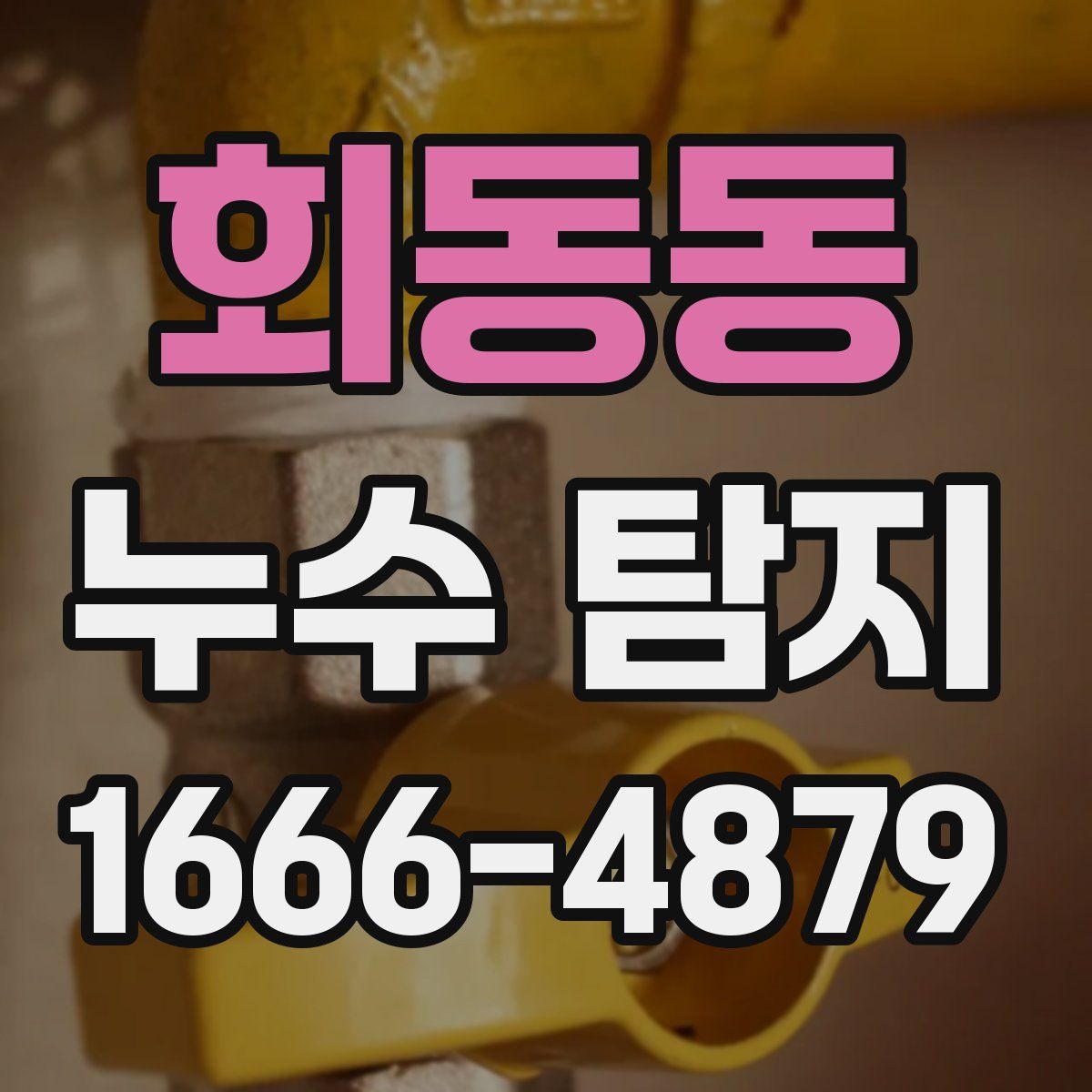 회동동 누수 탐지