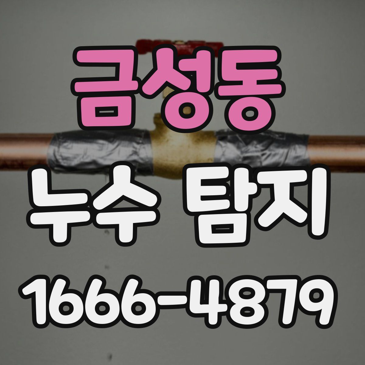 금성동 누수 탐지