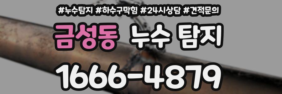 금성동 누수 탐지