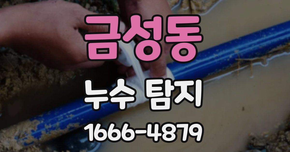 금성동 누수 탐지
