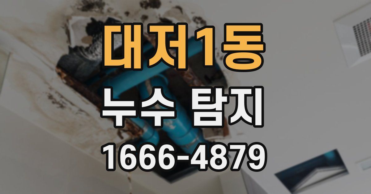 대저1동 누수 탐지