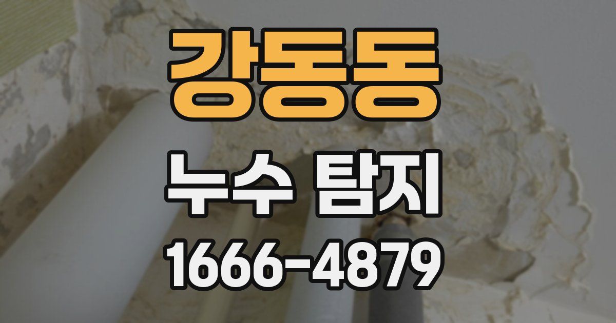 강동동 누수 탐지