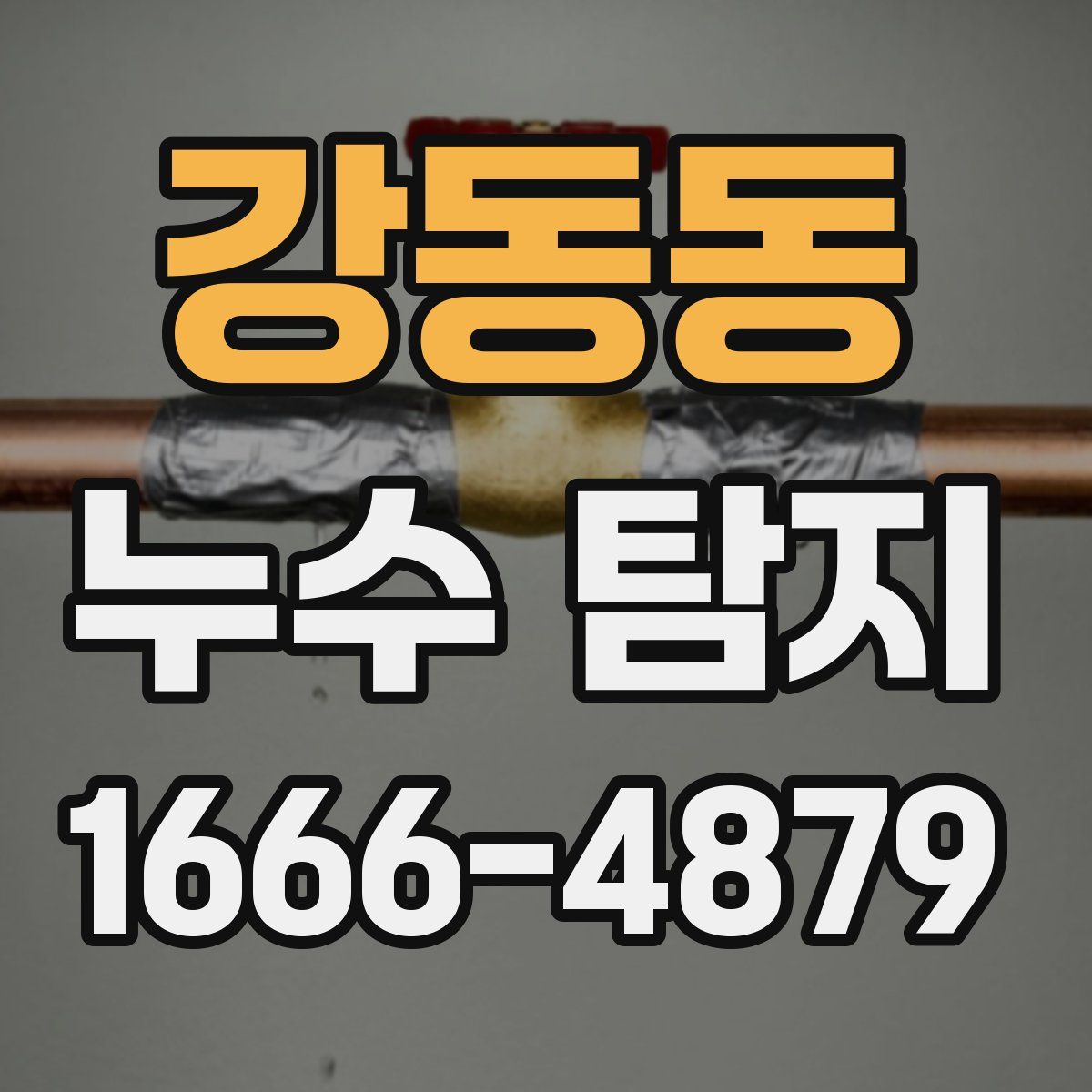 강동동 누수 탐지